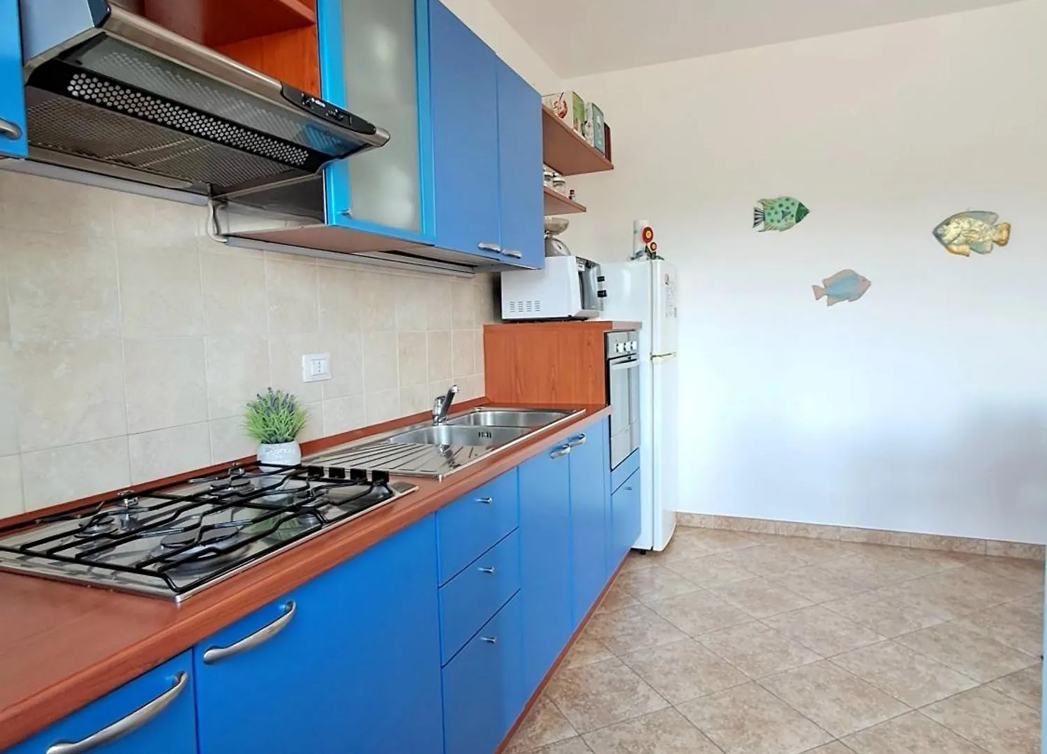 Appartement Coral Alguerhouse Italie